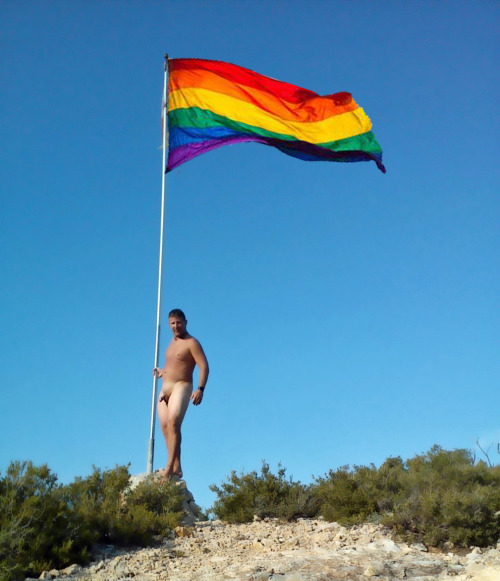 PRIDERainbowFlagWnkd