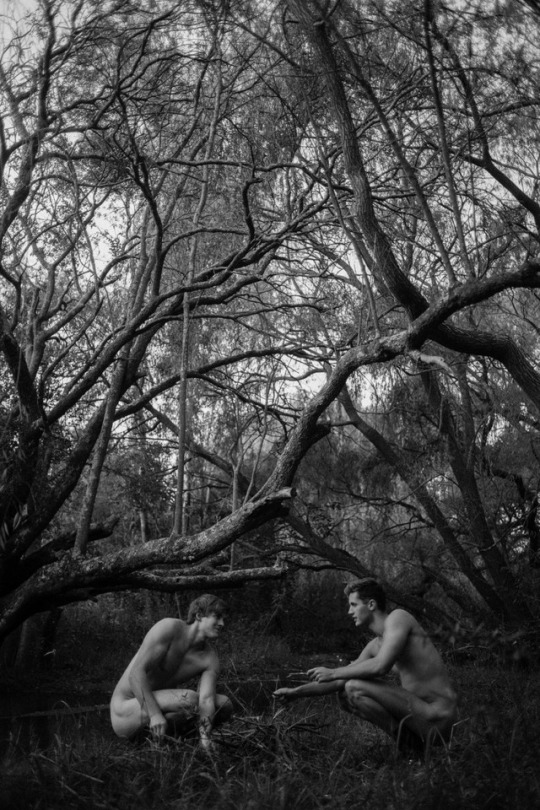 wordpressEnchantedForestDuoW