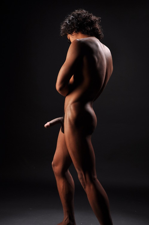 wordpressERECTIONprofileBposed