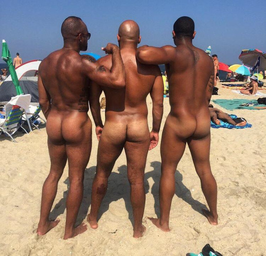 TanlinesAssBtrio