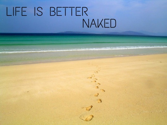 wordpressLogoLifeIsBetterNaked