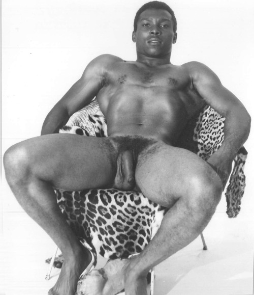 VintageLeopardskinB2