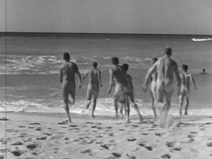 wordpressSkinDipRaceWasses