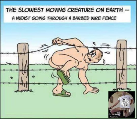 CartoonNudistBarbedWire