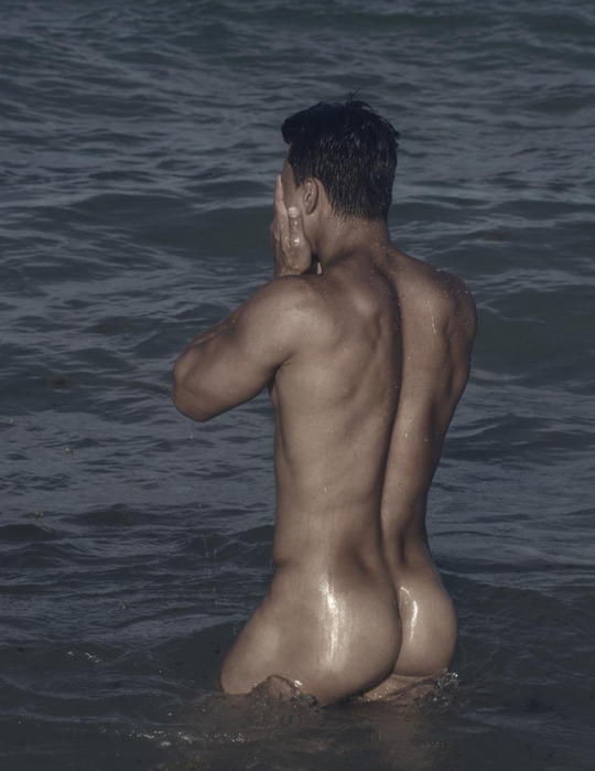 wordpress8-6-18skindip