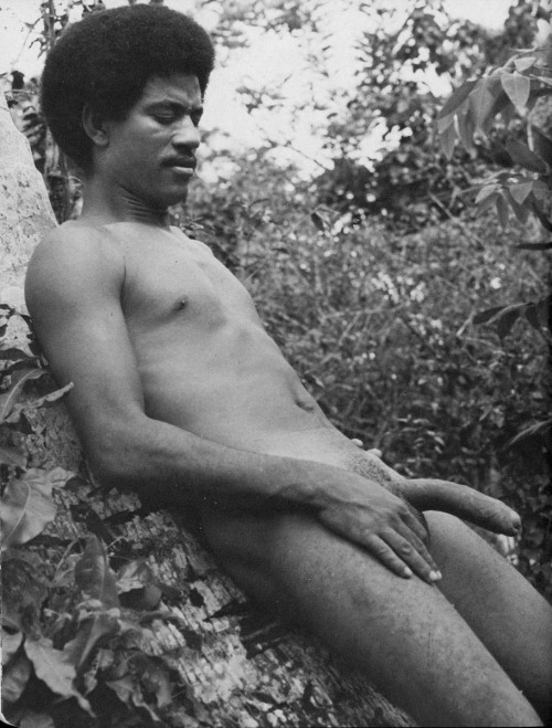 VINTAGE12-17BleaningTree