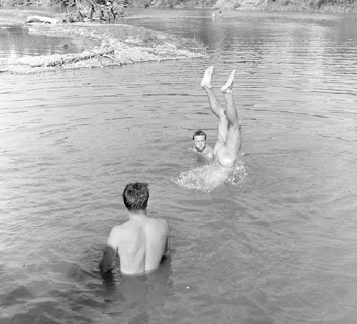 VINTAGESkinDipTrioASS