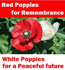 RemembrancePoppies
